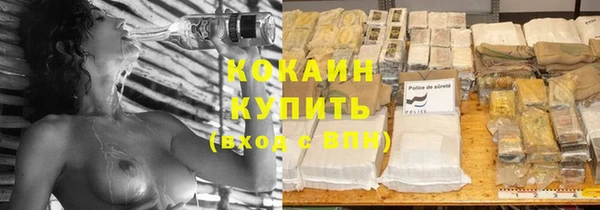 стаф Зерноград