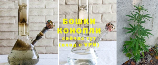 ПСИЛОЦИБИНОВЫЕ ГРИБЫ Покров