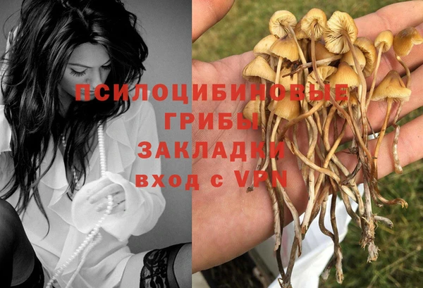 герыч Покачи
