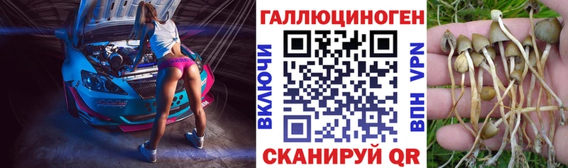 Псилоцибиновые грибы ЛСД  Морозовск 